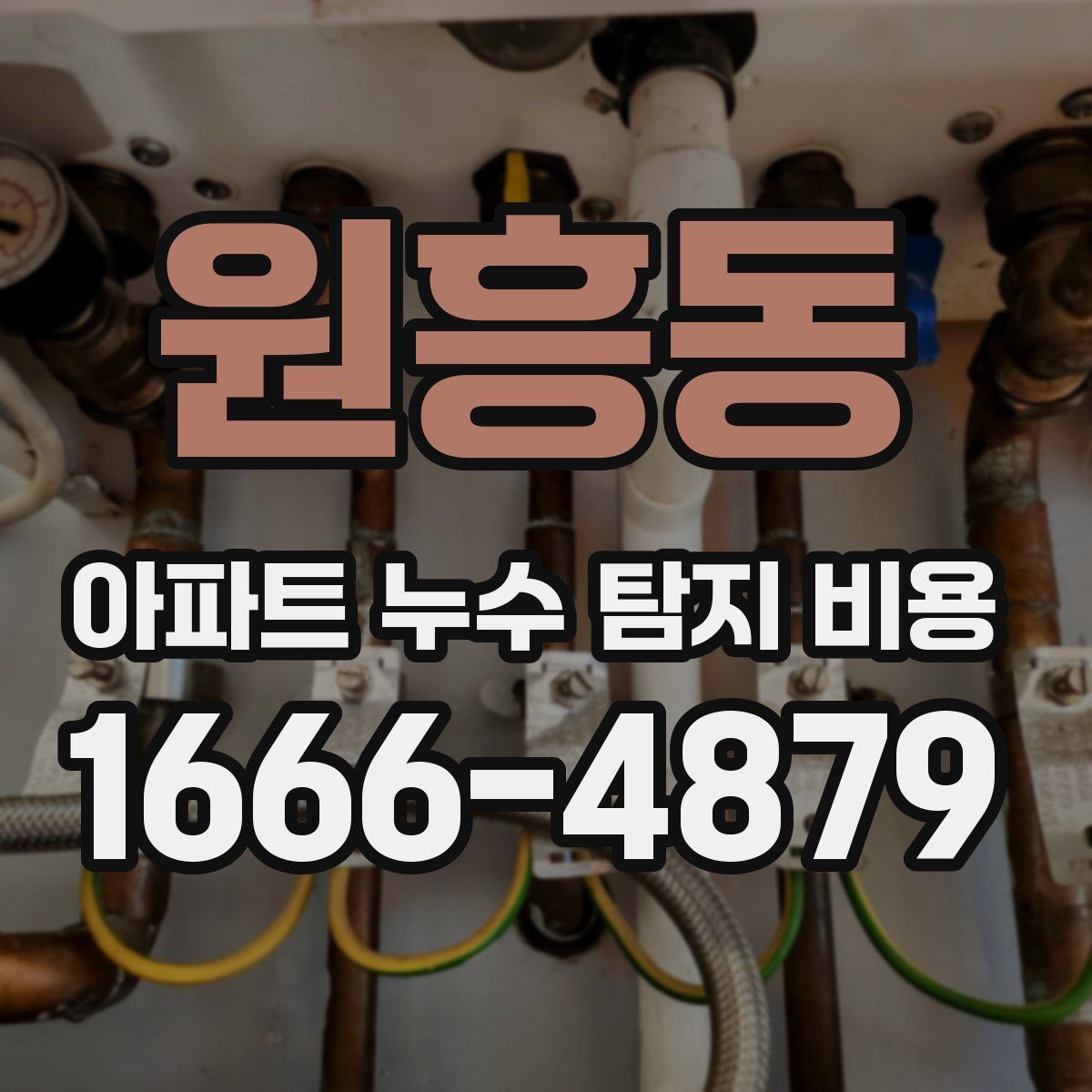 원흥동 아파트 누수 탐지 비용