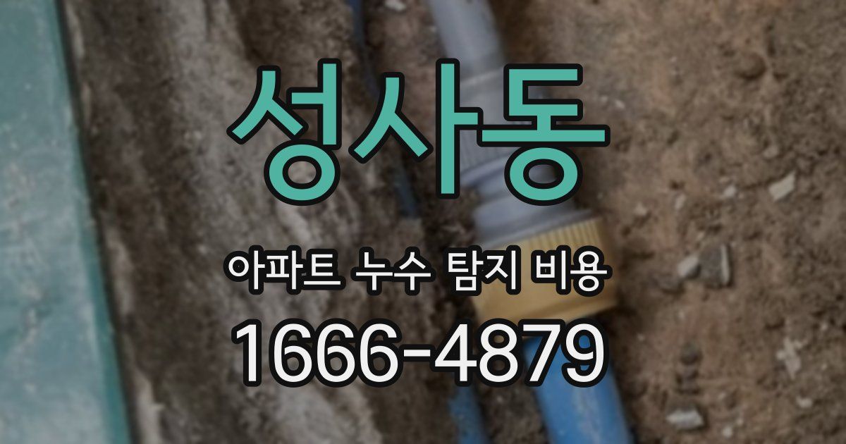 성사동 아파트 누수 탐지 비용