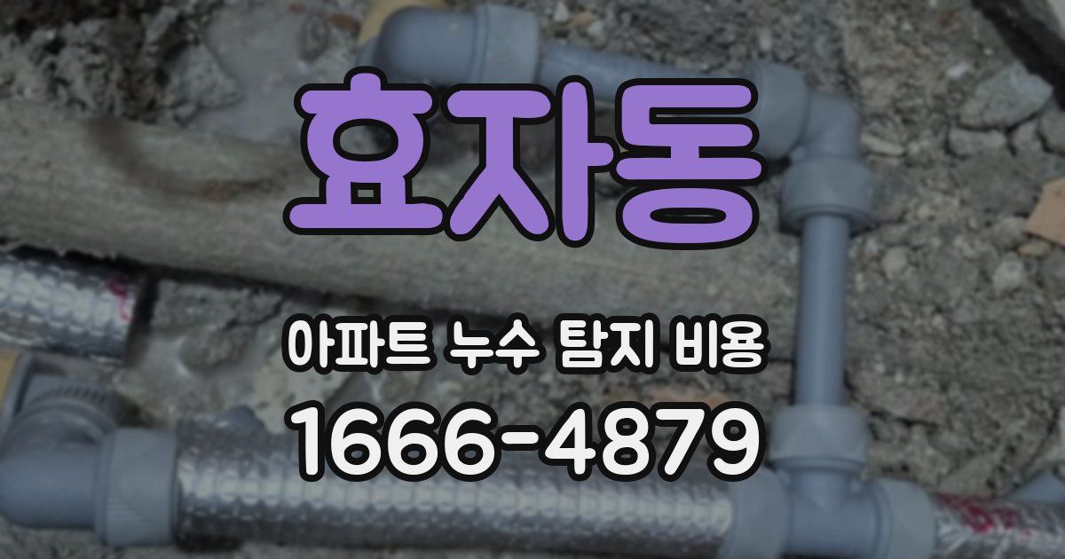 효자동 아파트 누수 탐지 비용