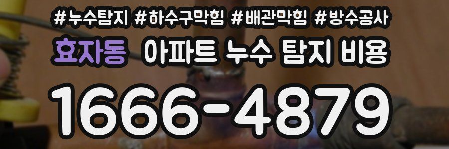 효자동 아파트 누수 탐지 비용