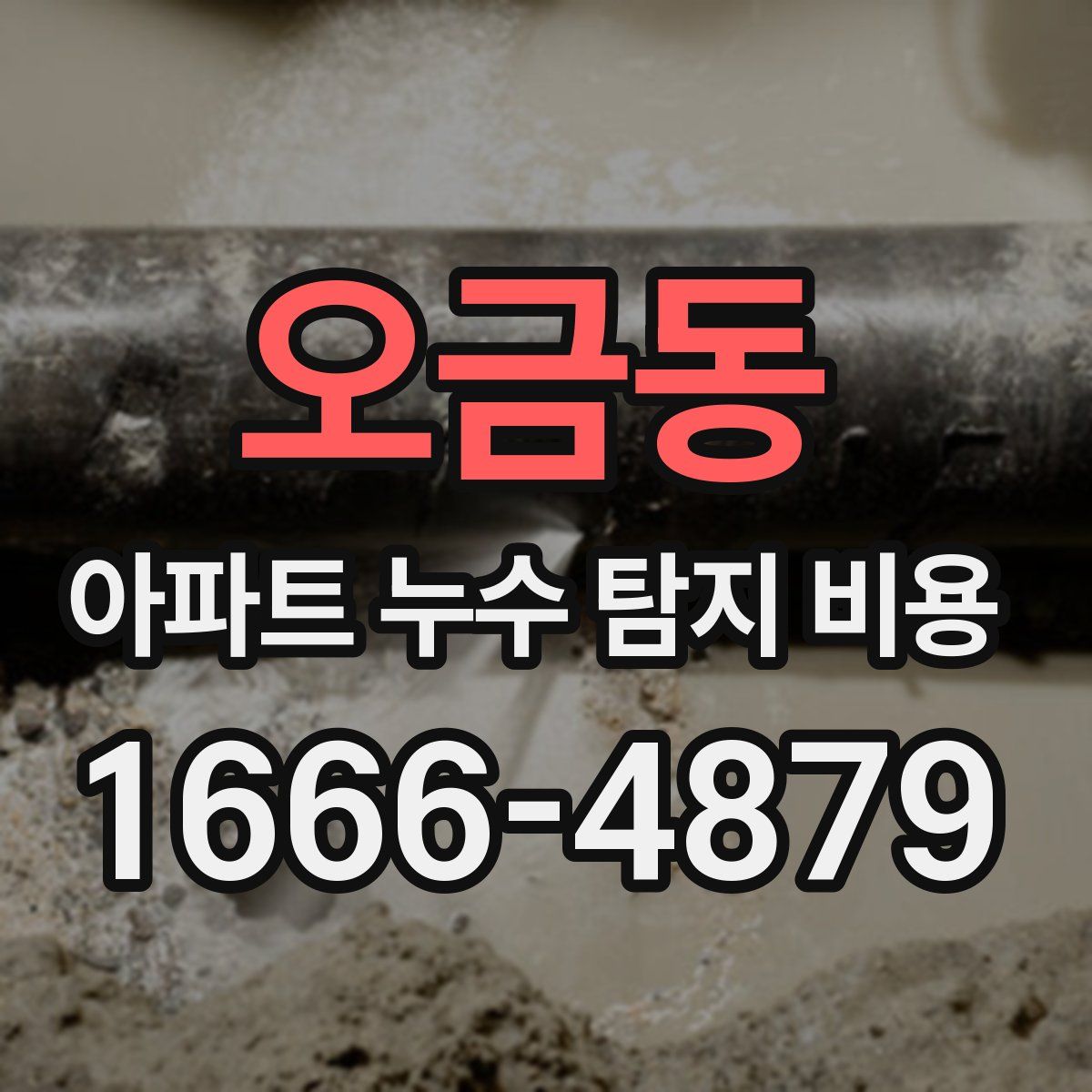 오금동 아파트 누수 탐지 비용