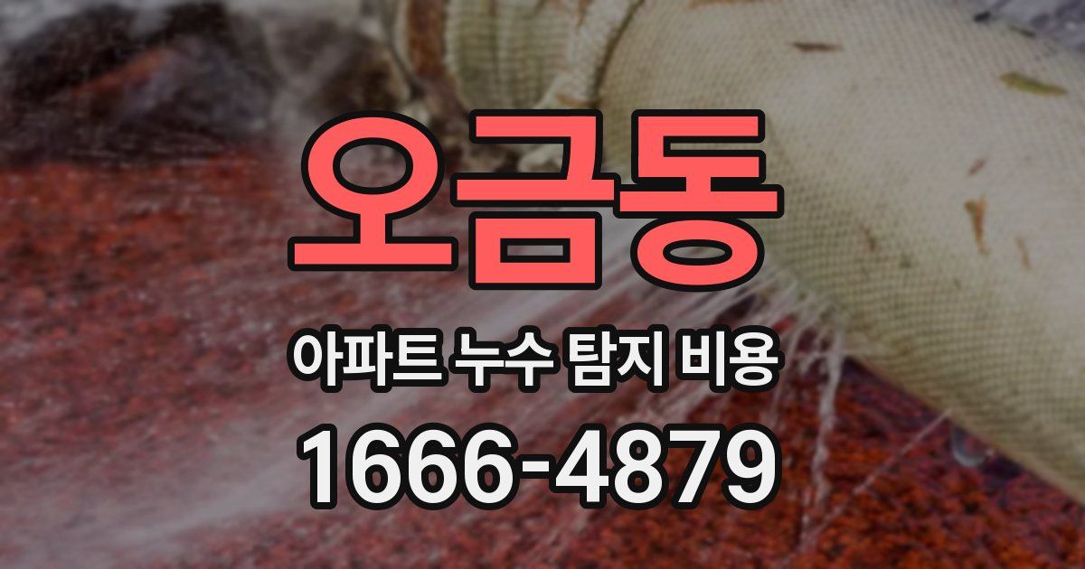 오금동 아파트 누수 탐지 비용