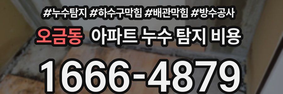 오금동 아파트 누수 탐지 비용