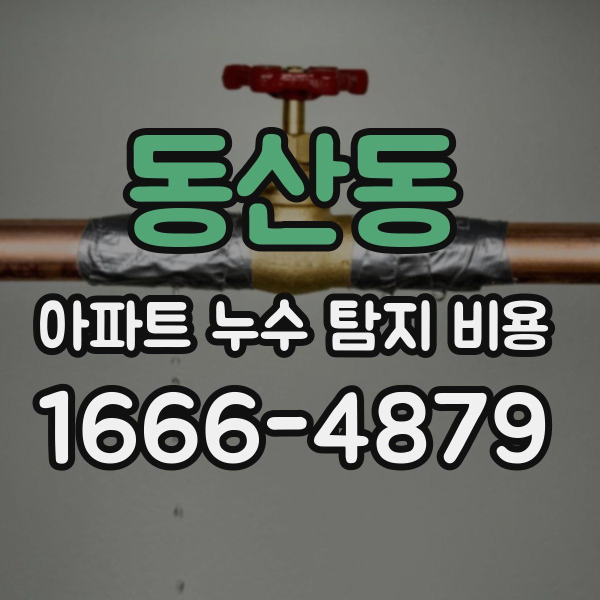 동산동 아파트 누수 탐지 비용