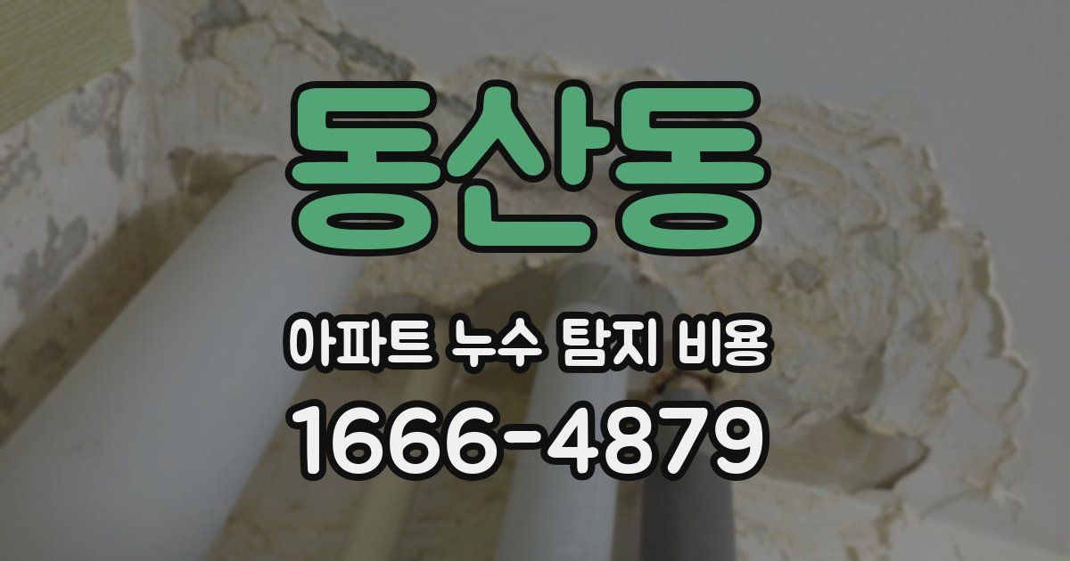 동산동 아파트 누수 탐지 비용