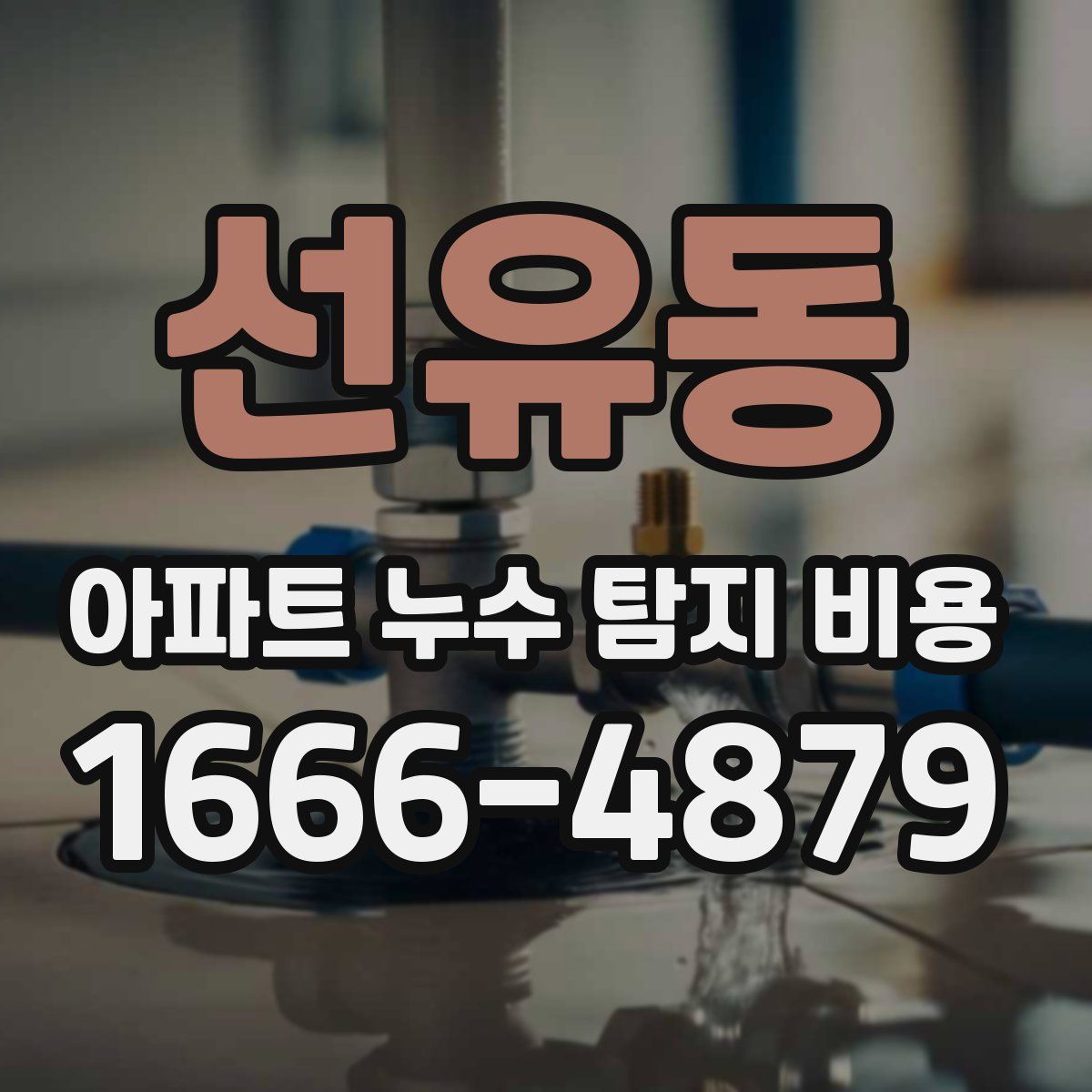 선유동 아파트 누수 탐지 비용