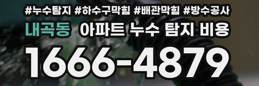 내곡동 아파트 누수 탐지 비용