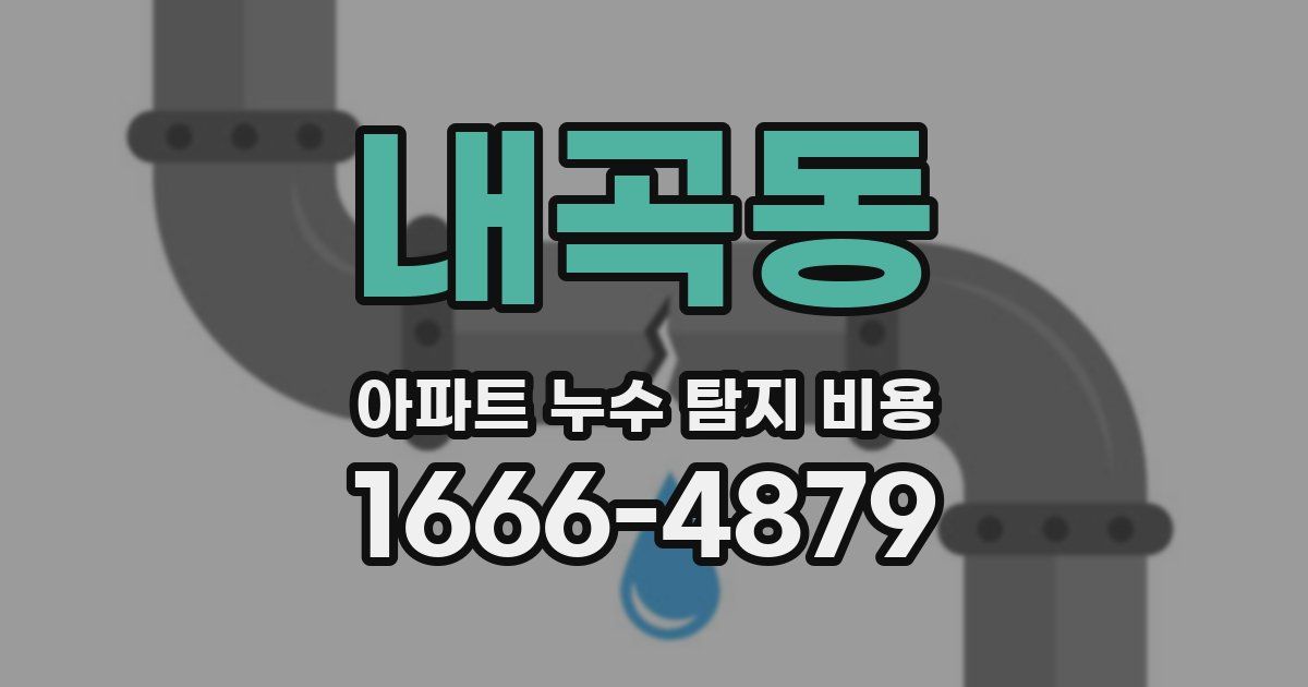 내곡동 아파트 누수 탐지 비용