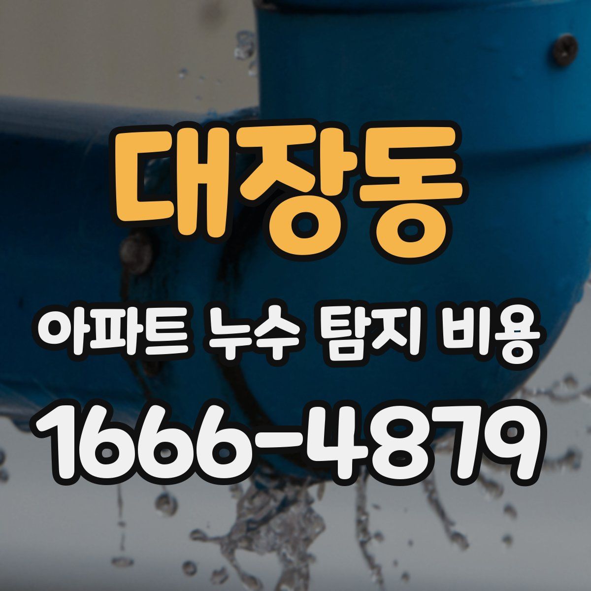 대장동 아파트 누수 탐지 비용