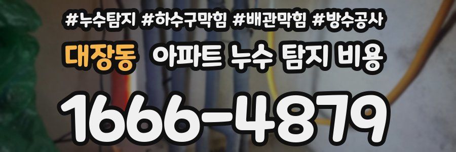 대장동 아파트 누수 탐지 비용