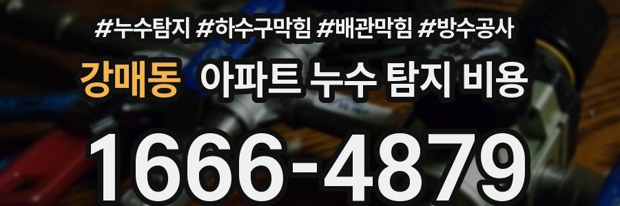 강매동 아파트 누수 탐지 비용