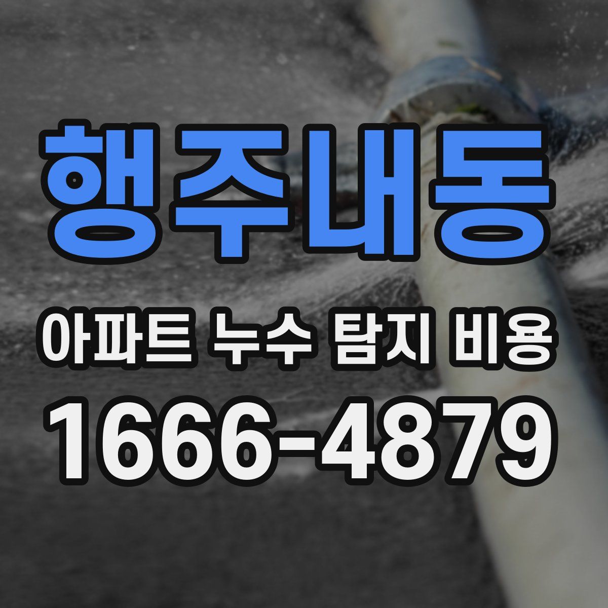 행주내동 아파트 누수 탐지 비용