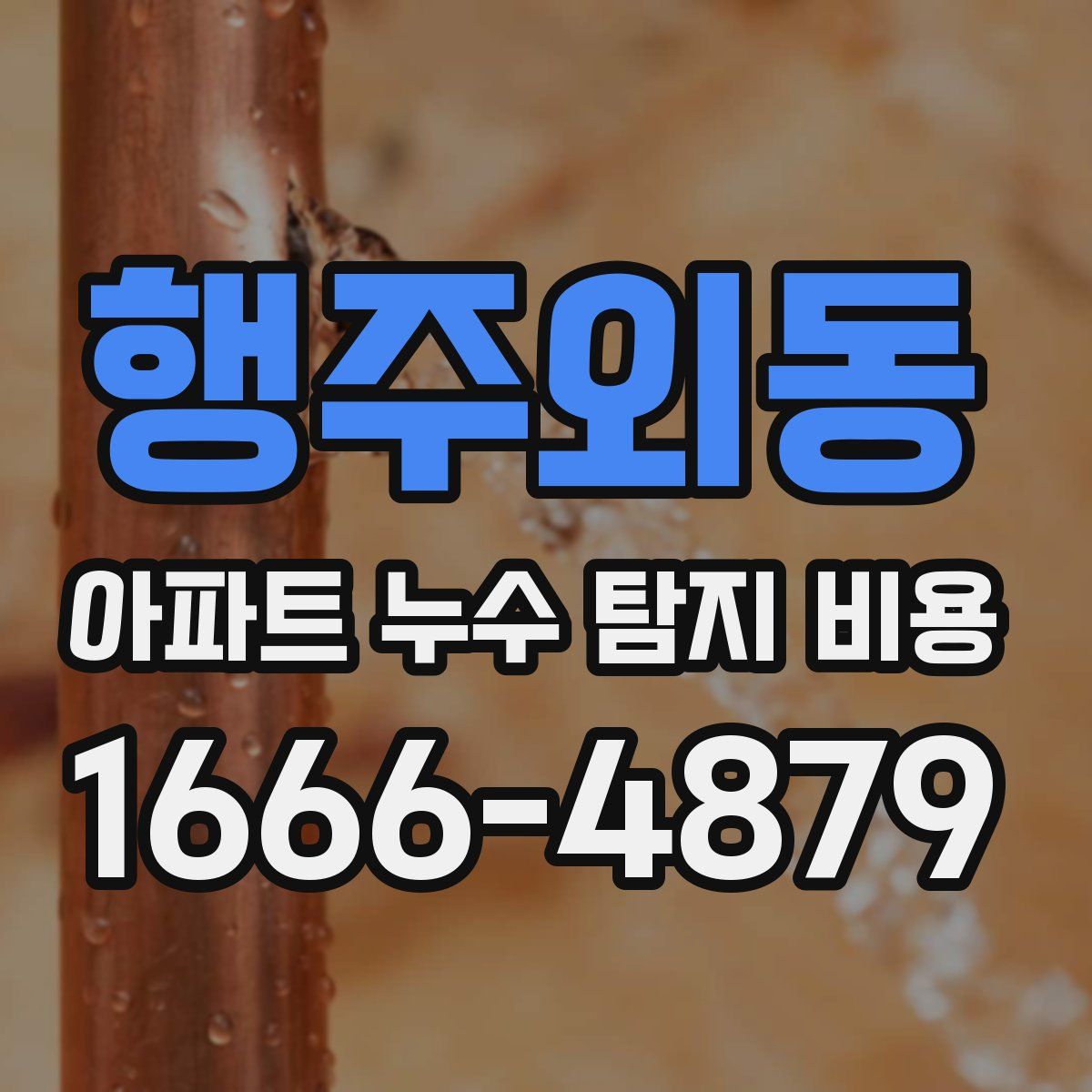 행주외동 아파트 누수 탐지 비용