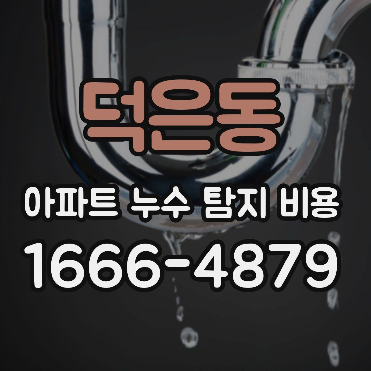 덕은동 아파트 누수 탐지 비용
