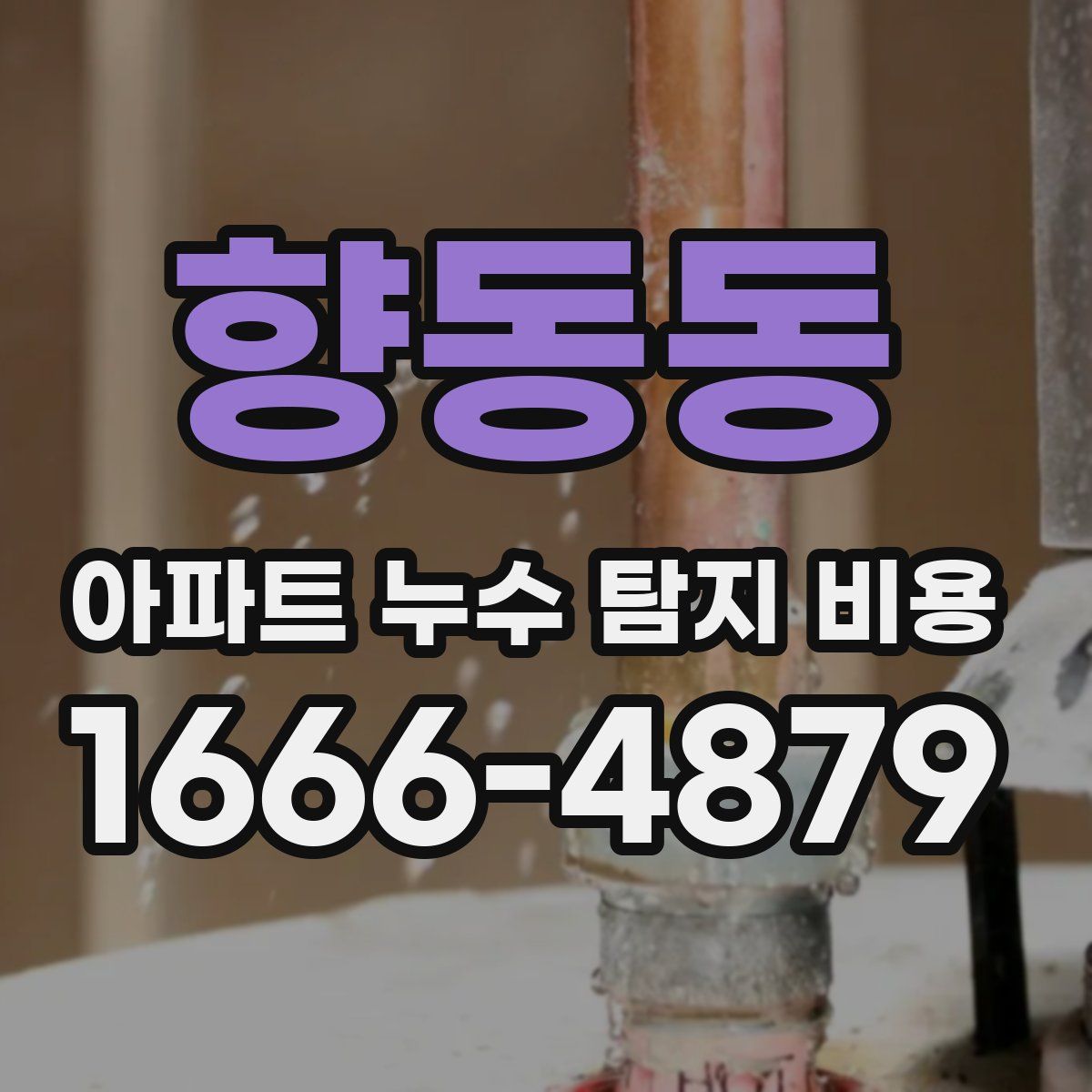향동동 아파트 누수 탐지 비용