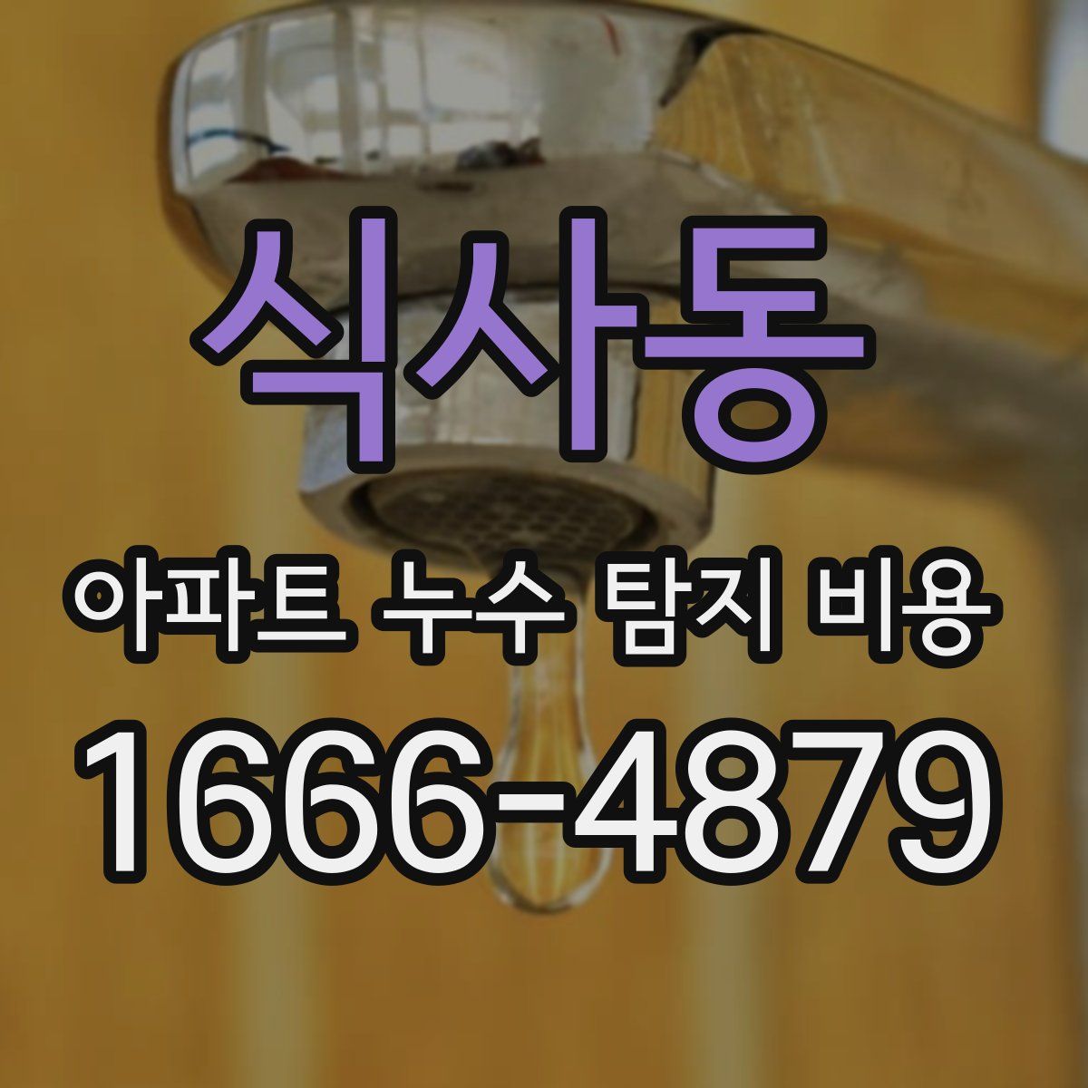 식사동 아파트 누수 탐지 비용