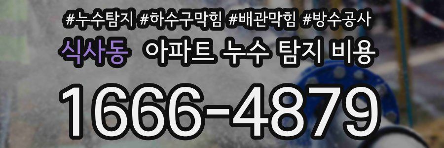 식사동 아파트 누수 탐지 비용