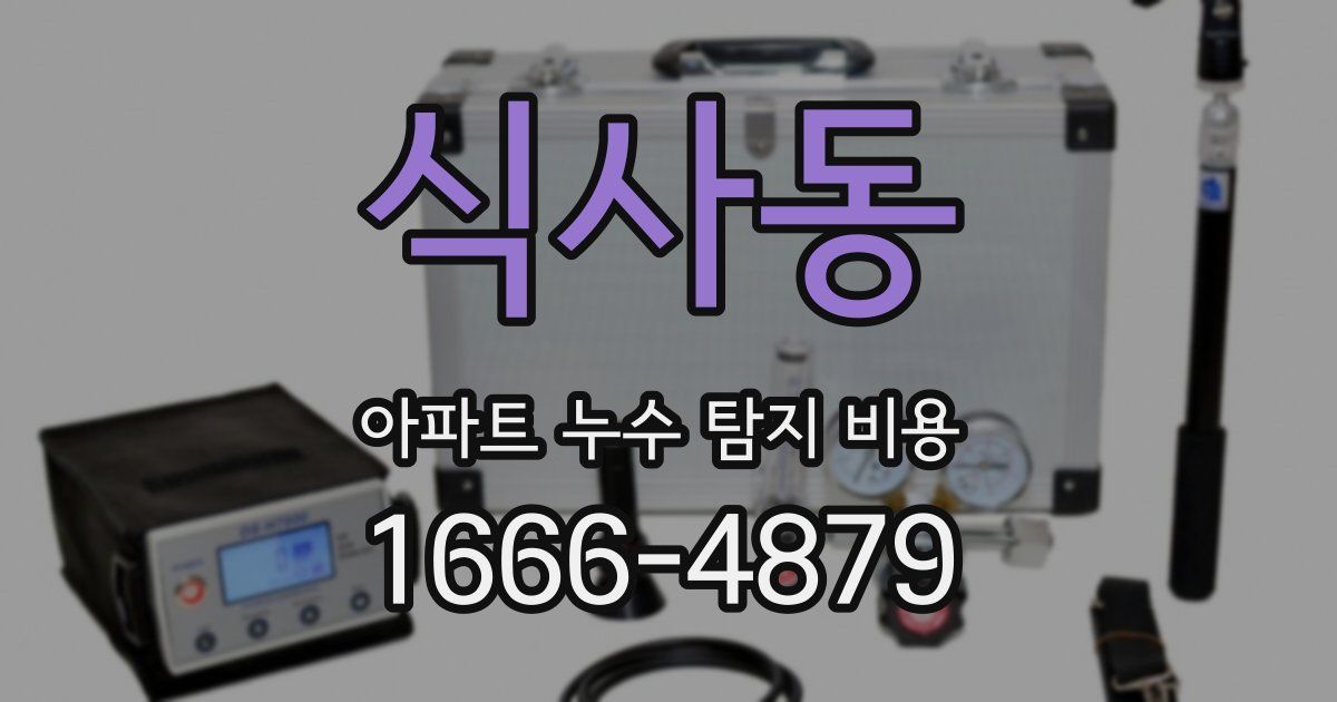 식사동 아파트 누수 탐지 비용