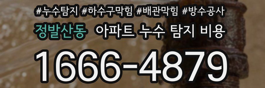 정발산동 아파트 누수 탐지 비용