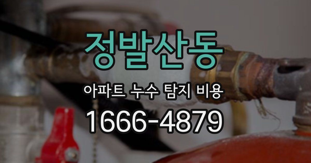 정발산동 아파트 누수 탐지 비용