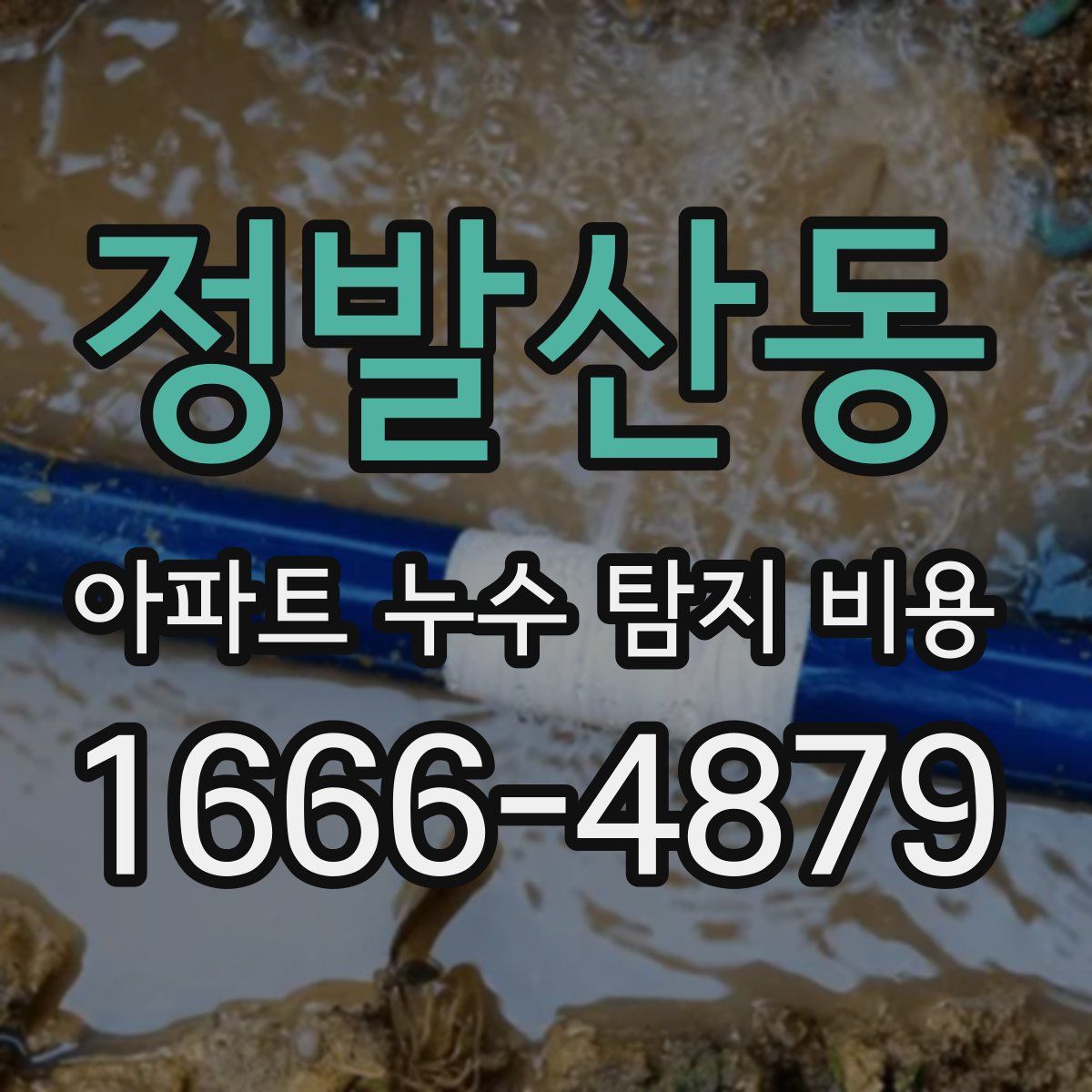 정발산동 아파트 누수 탐지 비용