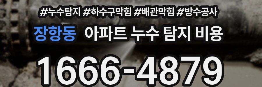 장항동 아파트 누수 탐지 비용