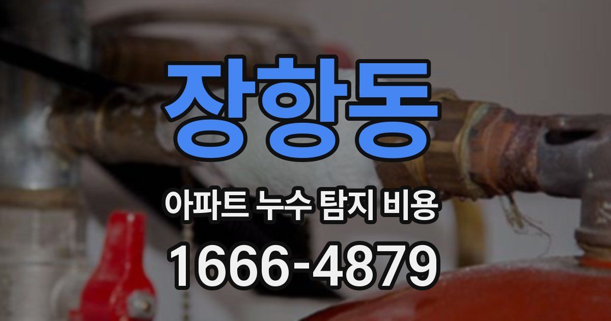 장항동 아파트 누수 탐지 비용