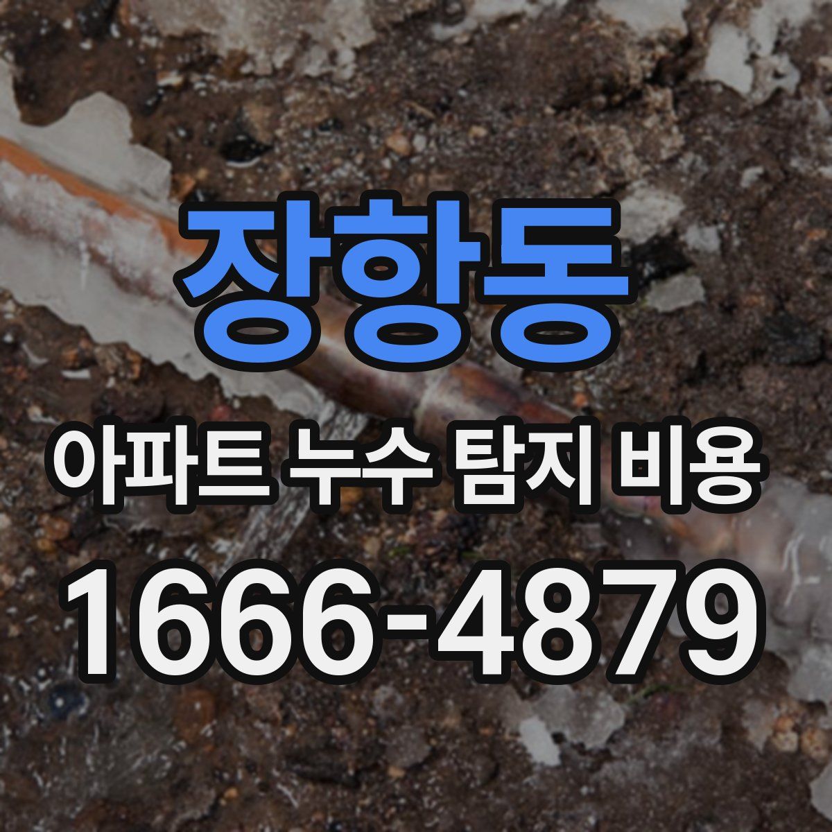 장항동 아파트 누수 탐지 비용