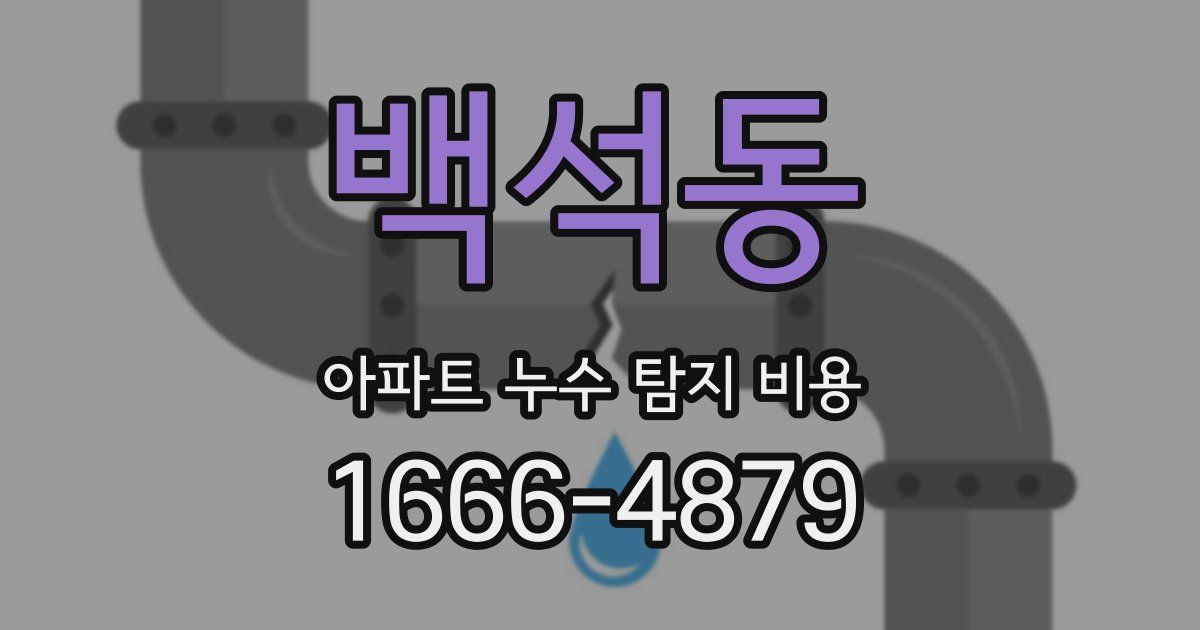 백석동 아파트 누수 탐지 비용