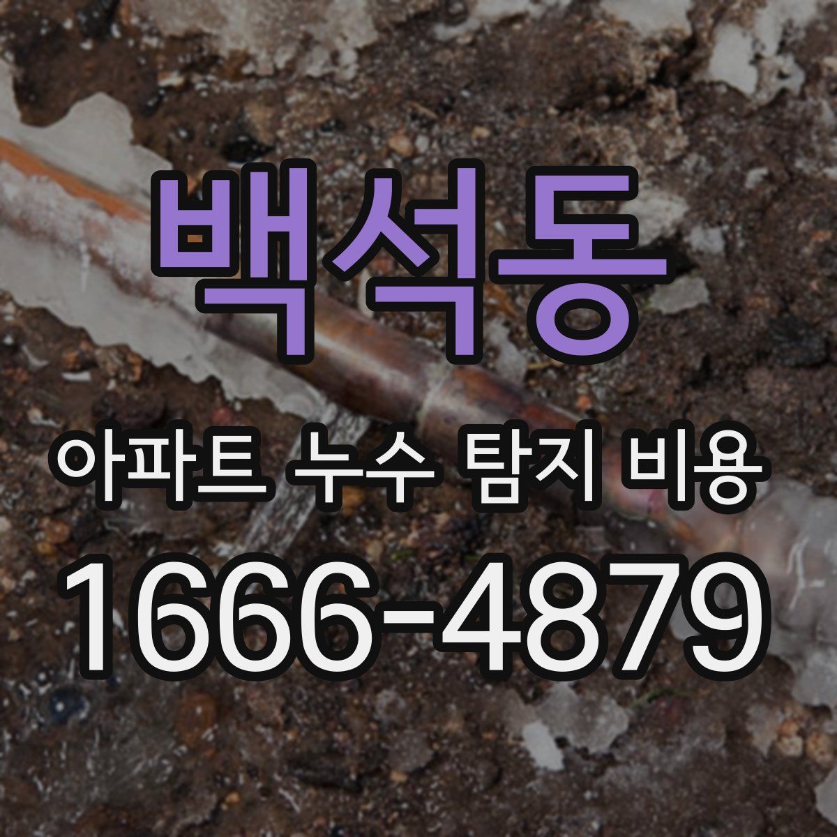 백석동 아파트 누수 탐지 비용