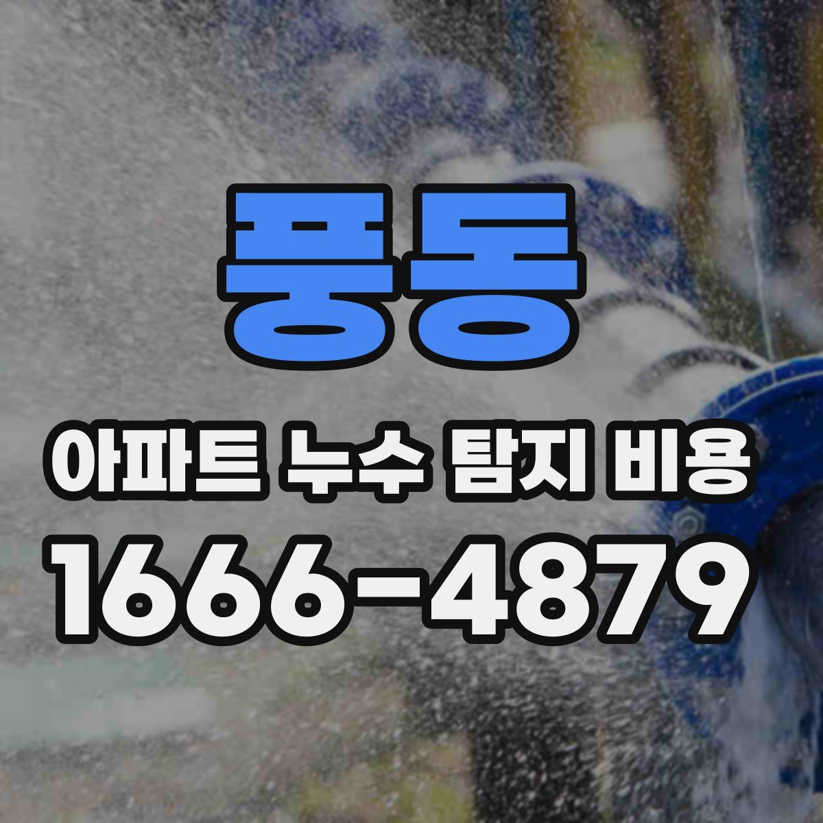 풍동 아파트 누수 탐지 비용