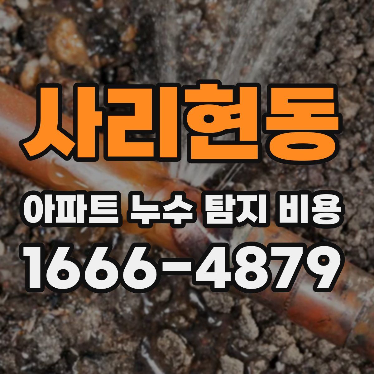 사리현동 아파트 누수 탐지 비용