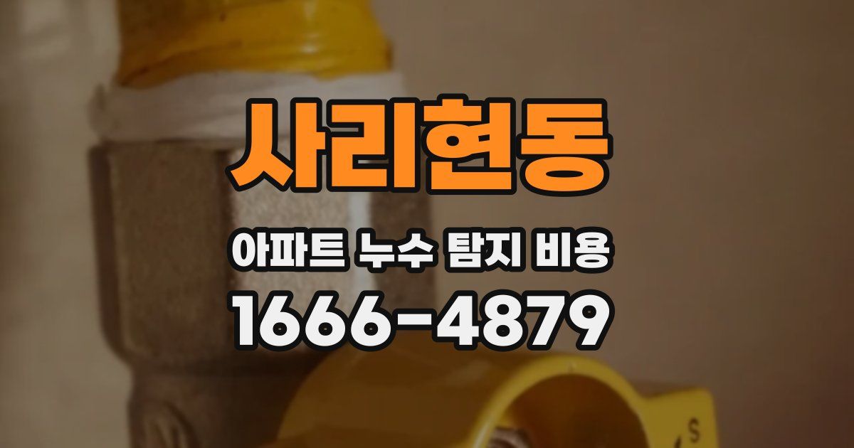사리현동 아파트 누수 탐지 비용