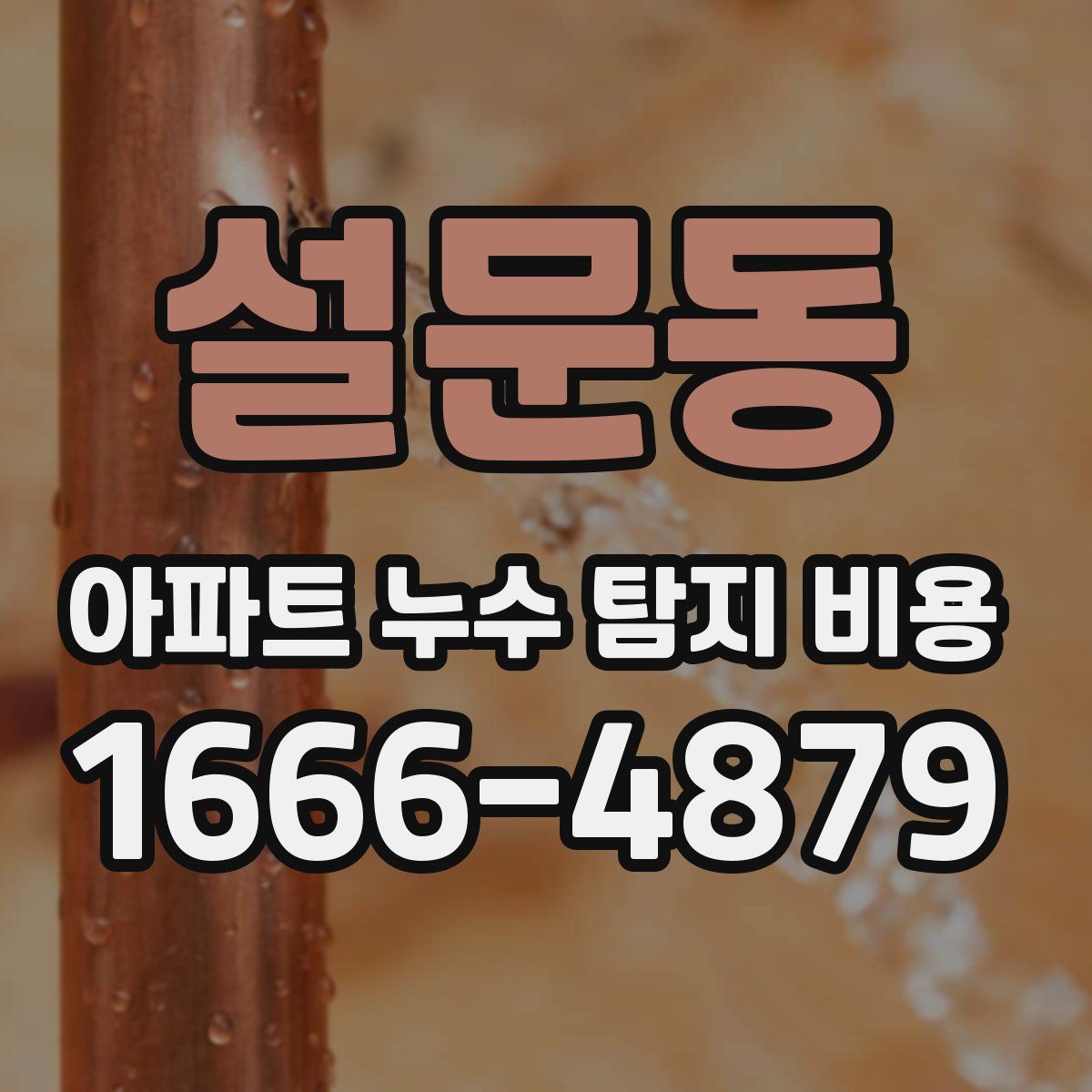 설문동 아파트 누수 탐지 비용
