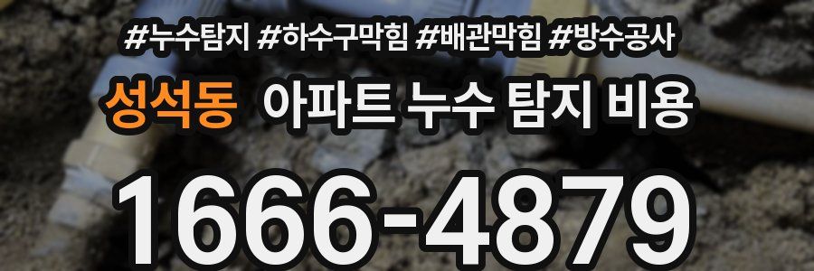 성석동 아파트 누수 탐지 비용