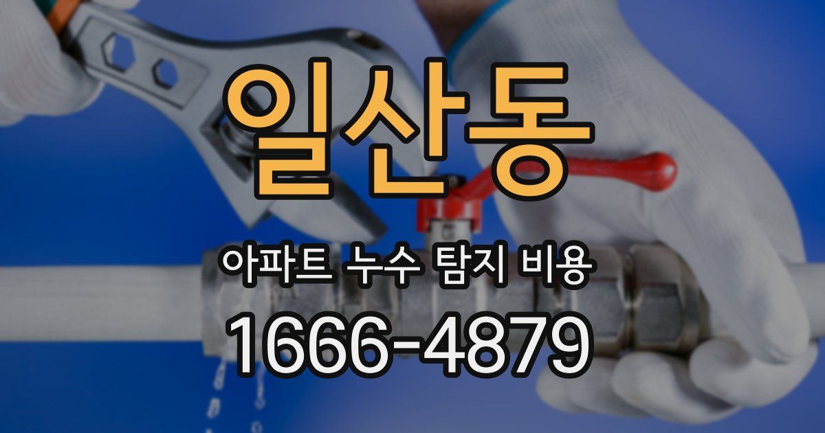 일산동 아파트 누수 탐지 비용