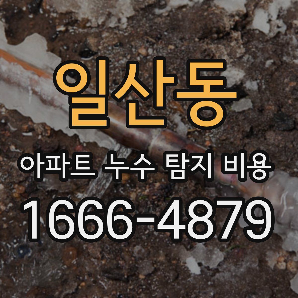 일산동 아파트 누수 탐지 비용