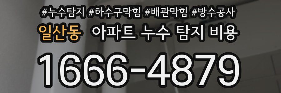 일산동 아파트 누수 탐지 비용