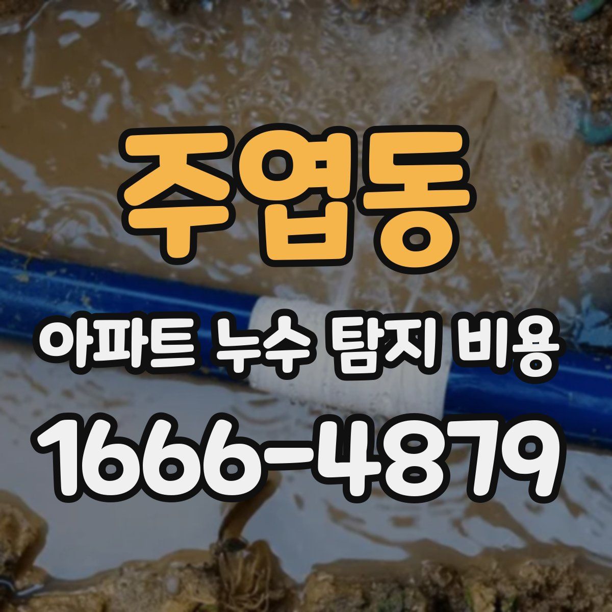 주엽동 아파트 누수 탐지 비용