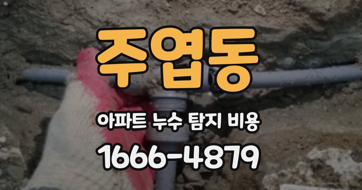 주엽동 아파트 누수 탐지 비용