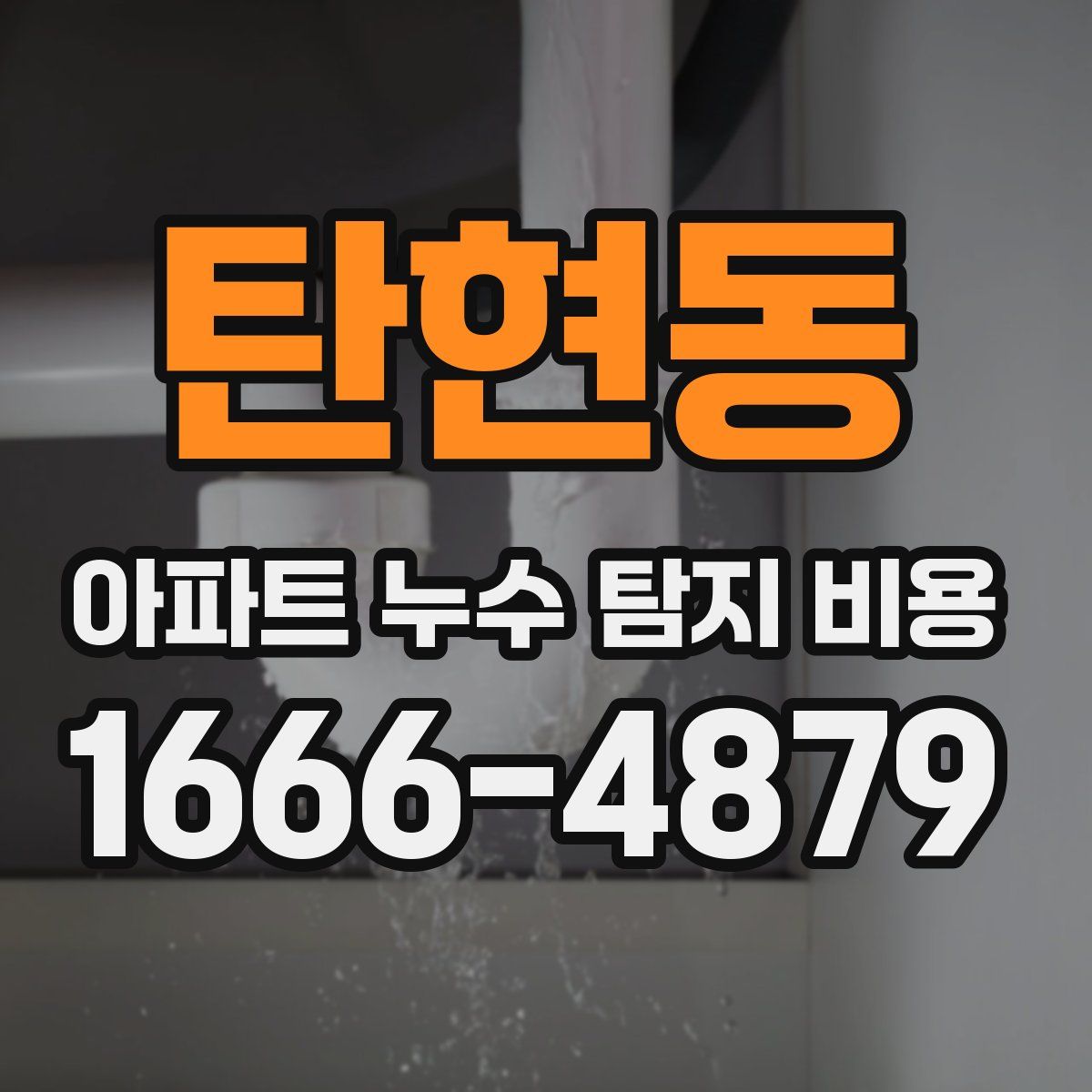 탄현동 아파트 누수 탐지 비용