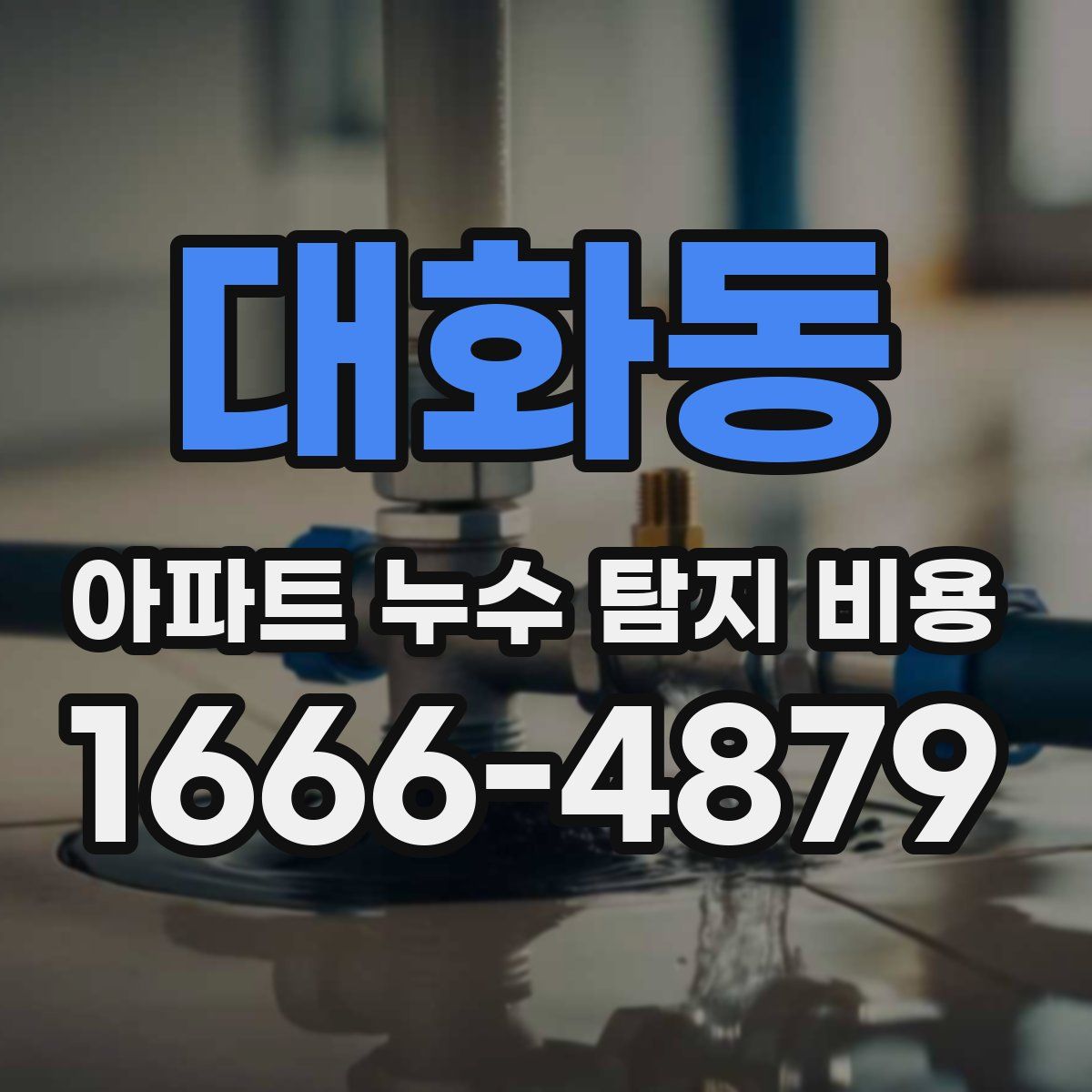 대화동 아파트 누수 탐지 비용