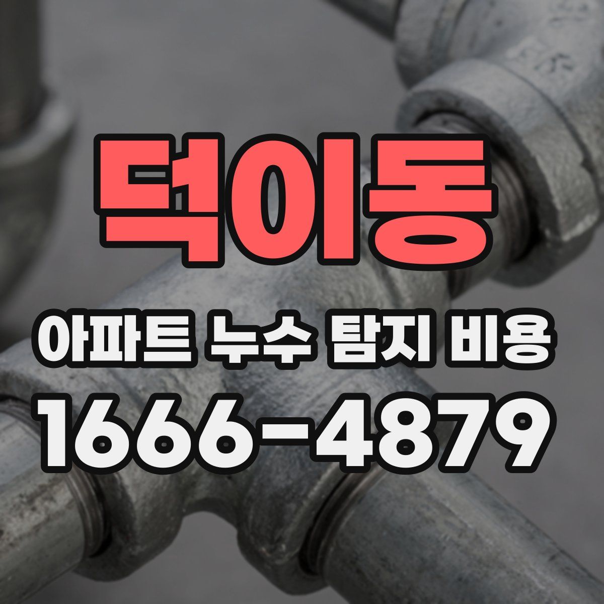 덕이동 아파트 누수 탐지 비용
