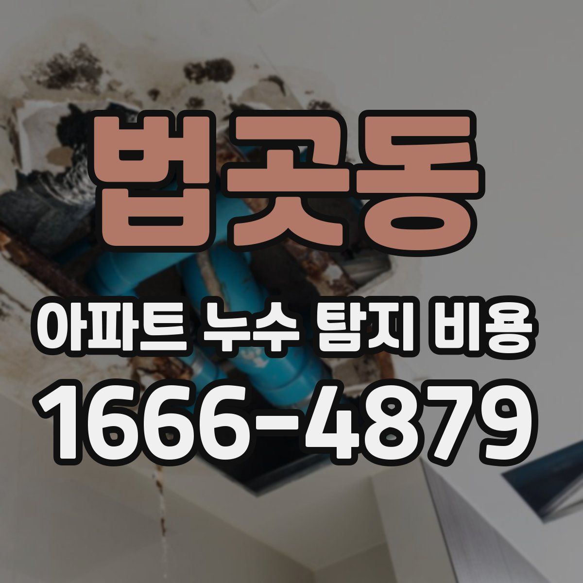 법곳동 아파트 누수 탐지 비용