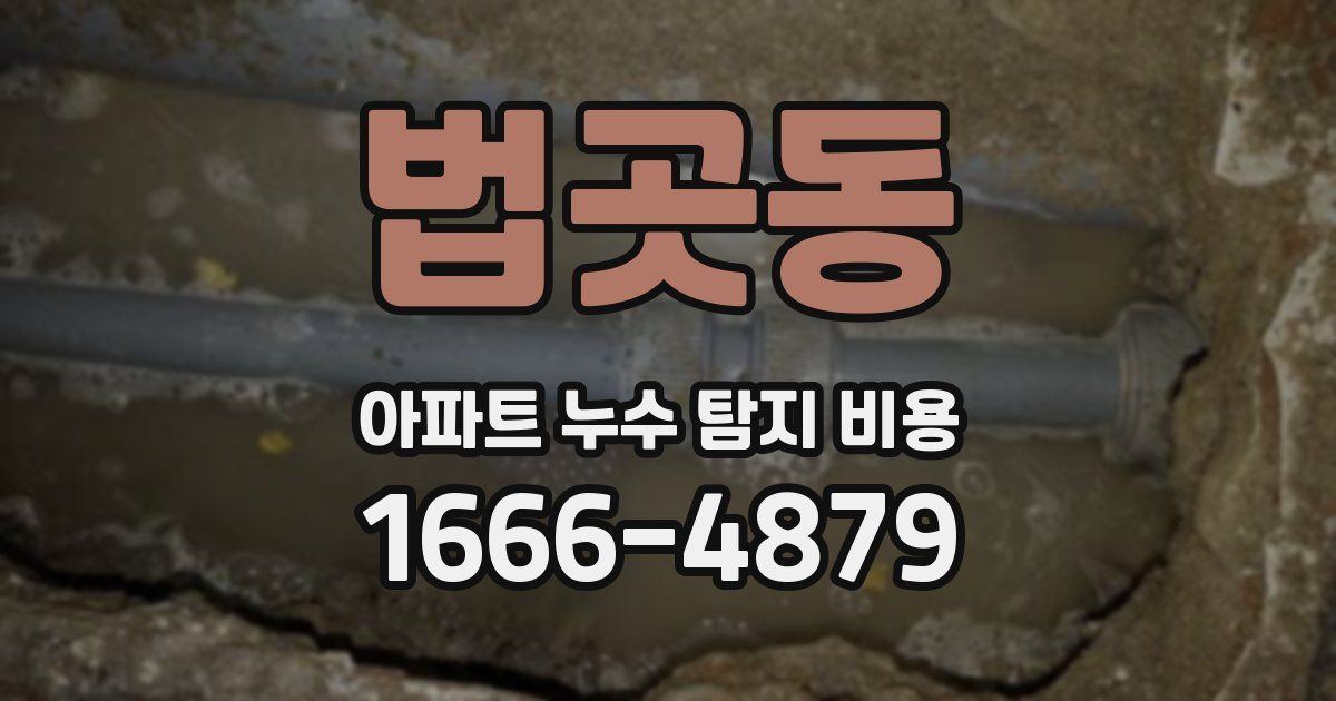 법곳동 아파트 누수 탐지 비용