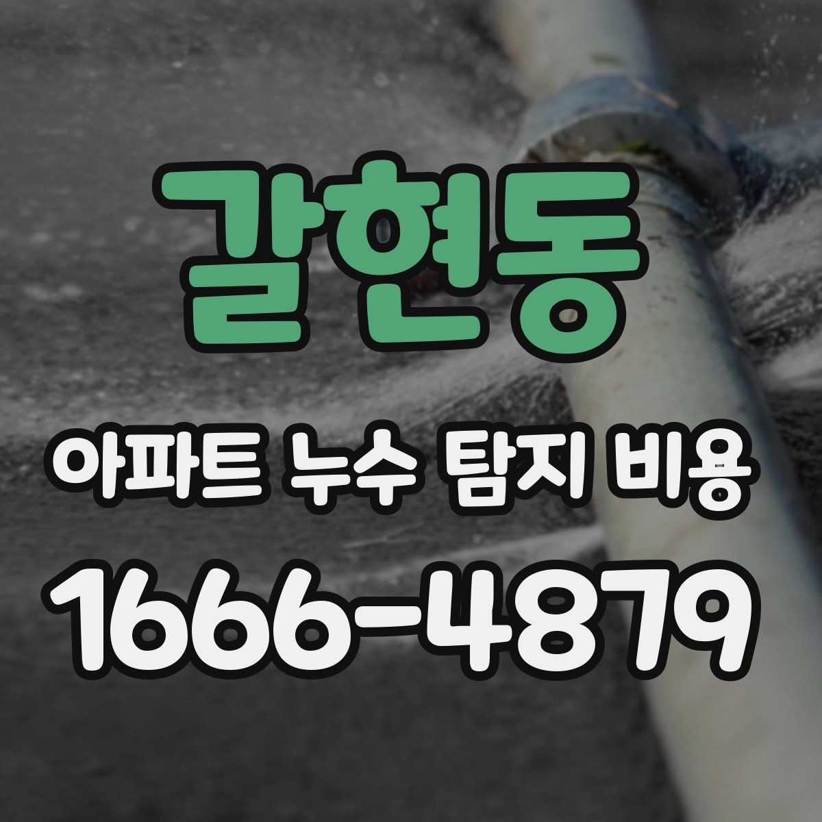 갈현동 아파트 누수 탐지 비용