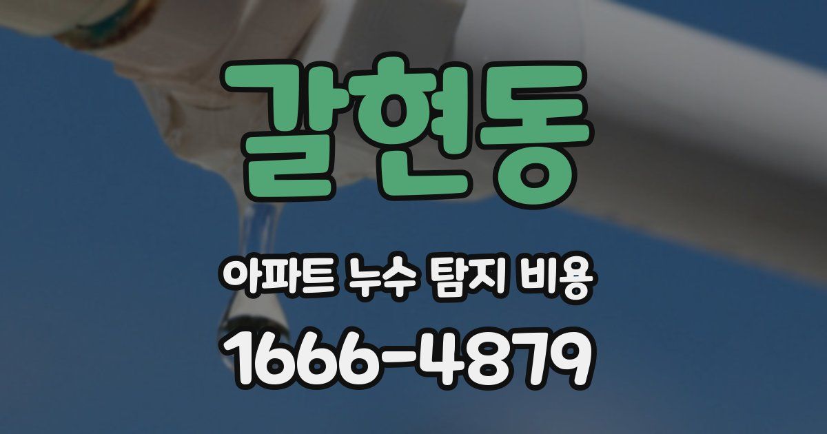 갈현동 아파트 누수 탐지 비용