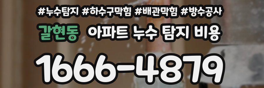갈현동 아파트 누수 탐지 비용