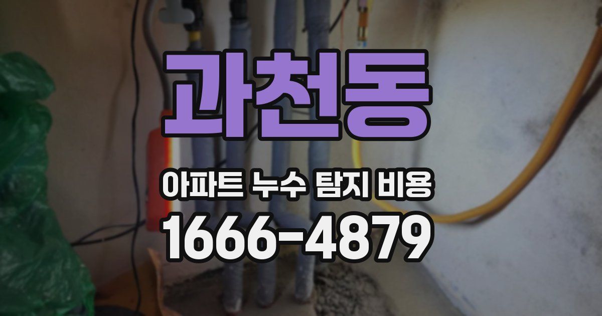 과천동 아파트 누수 탐지 비용