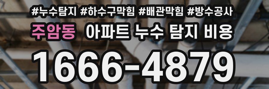 주암동 아파트 누수 탐지 비용